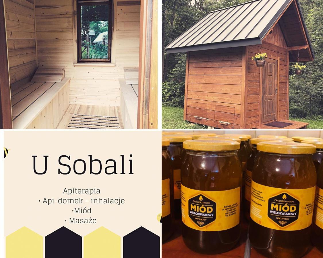 U Sobali Villa Groń Kültér fotó